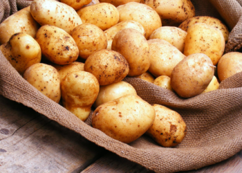 Potato (Spunta)