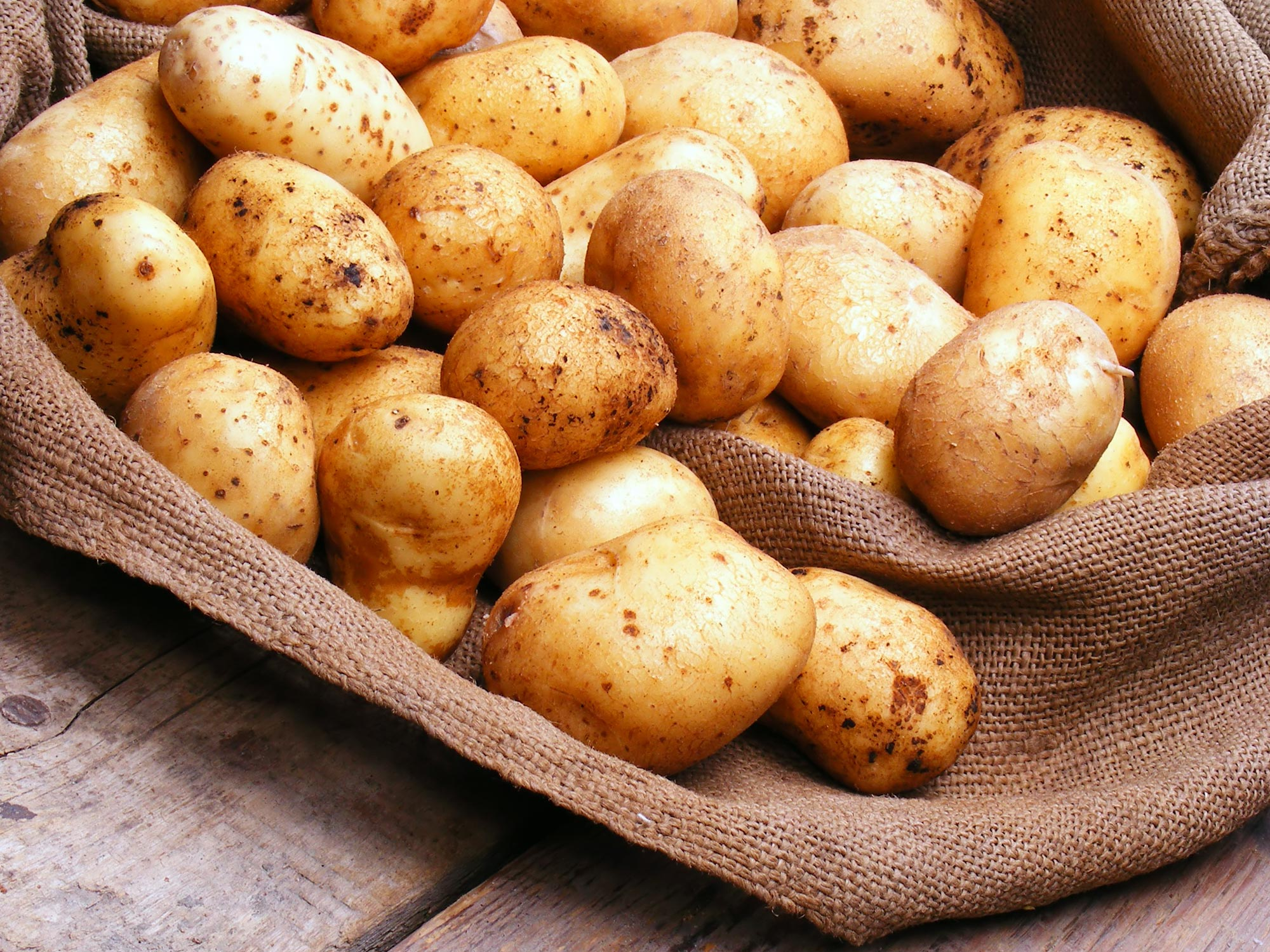Potato (Spunta)