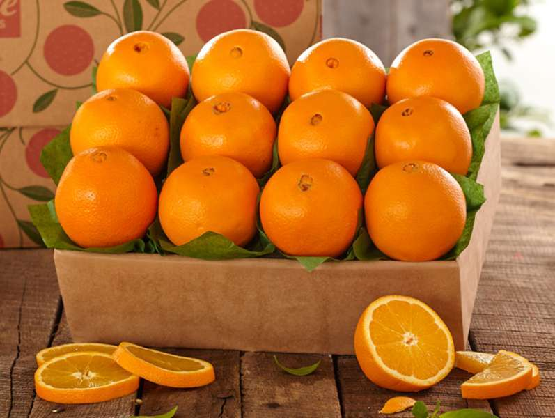 Oranges (Valencia)