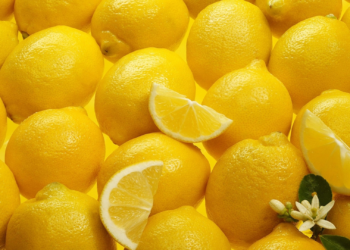 Lemon (Adalia)