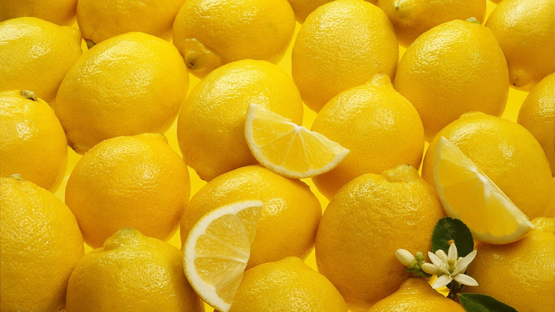 Lemon (Adalia)