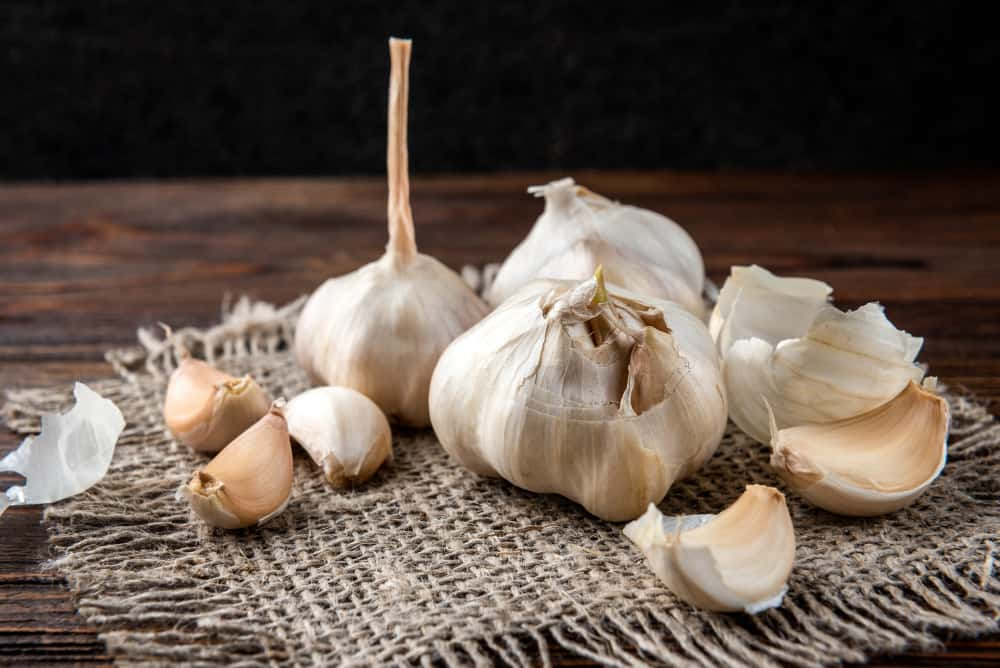 Fresh Garlic