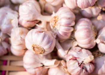 Garlic (White & Purple)