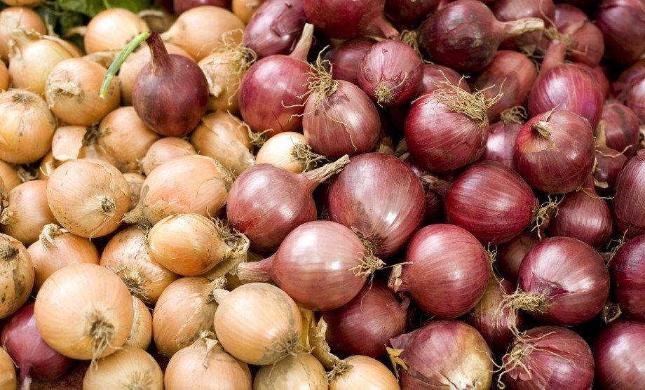 Onion (Yellow & Red)