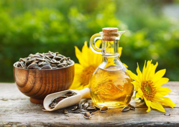 Sunflower Oil