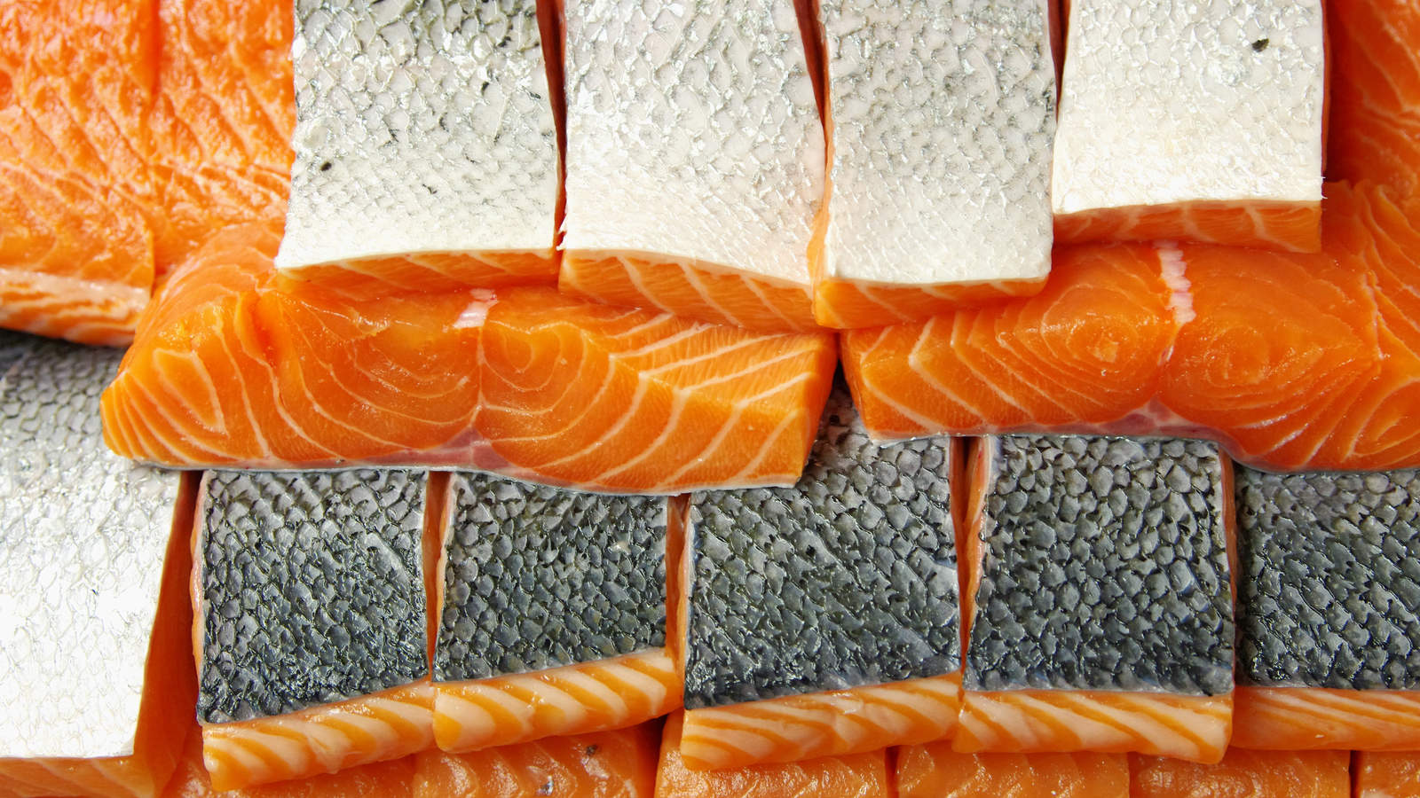 Salmon (Can)